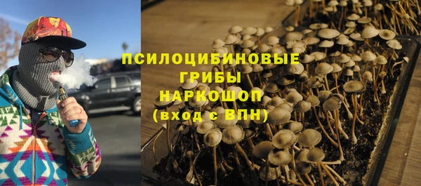 хмурый Алексеевка