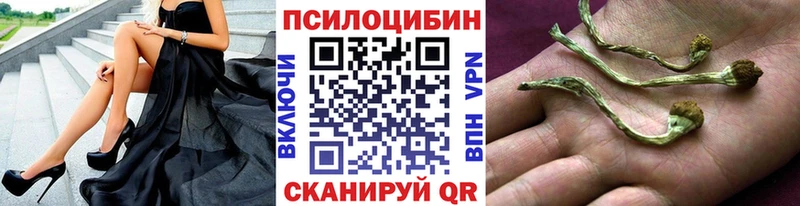 Купить закладки Северобайкальск Псилоцибиновые грибы ЛСД